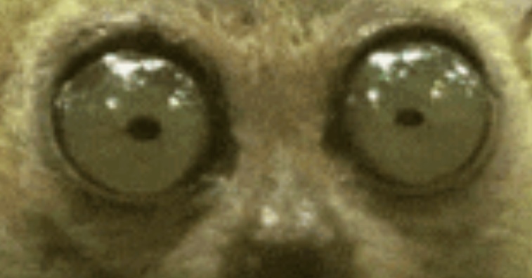 Screenshot 20220310 115435  01