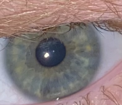 6BE80064 3E86 4959 9EFC 8F922D590CDD