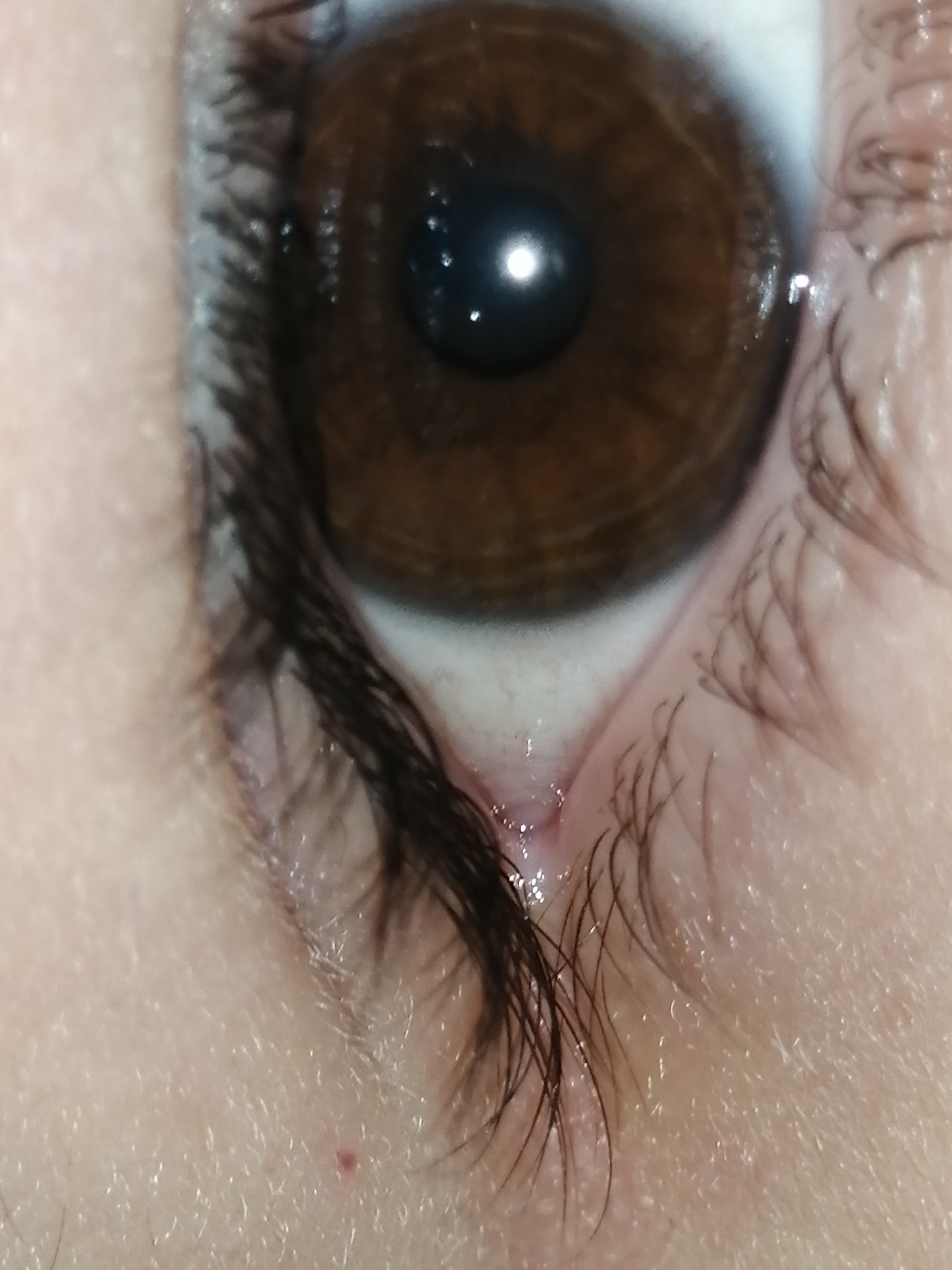 77263027 3E56 4573 8DC7 9A879A4A049B