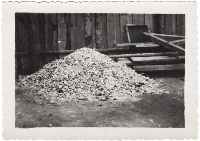 Images 26