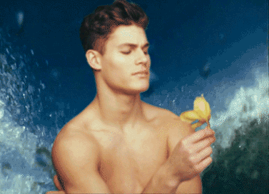 75B1D8A6 856C 4A16 851C 9FF8E6DF031A