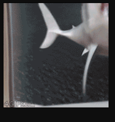 1660872052659