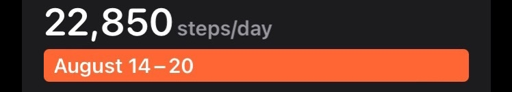 1661264902845