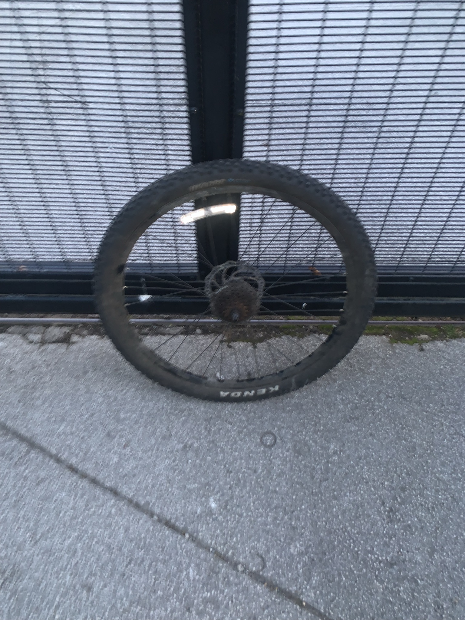 0F3E56BB 11F6 4CC1 A7C4 888FBD69B9D4