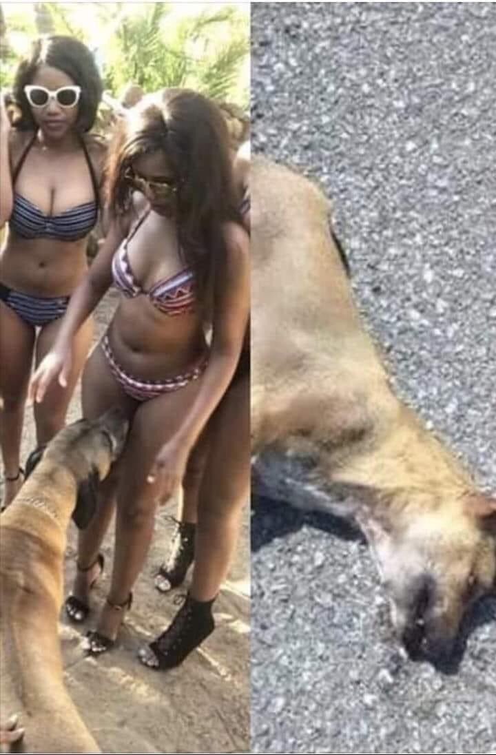 72F76CF7 2CCA 44D1 AF57 0B4C8C51AD8D