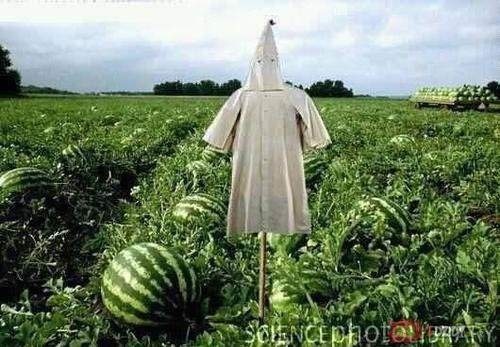 5F204287 F927 4E42 ACCB 39F88840C563