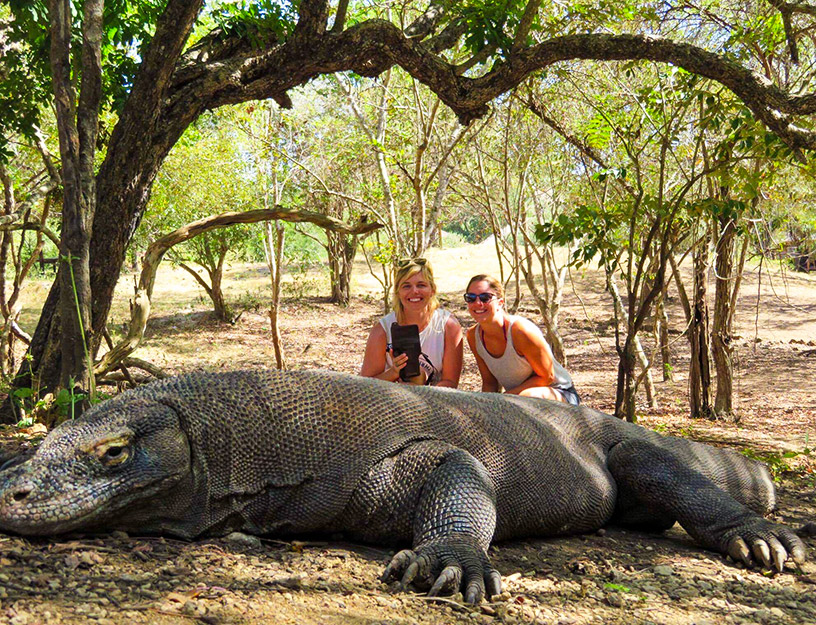 29C53970 8C22 4EE3 9A21 18A2E5F4966D