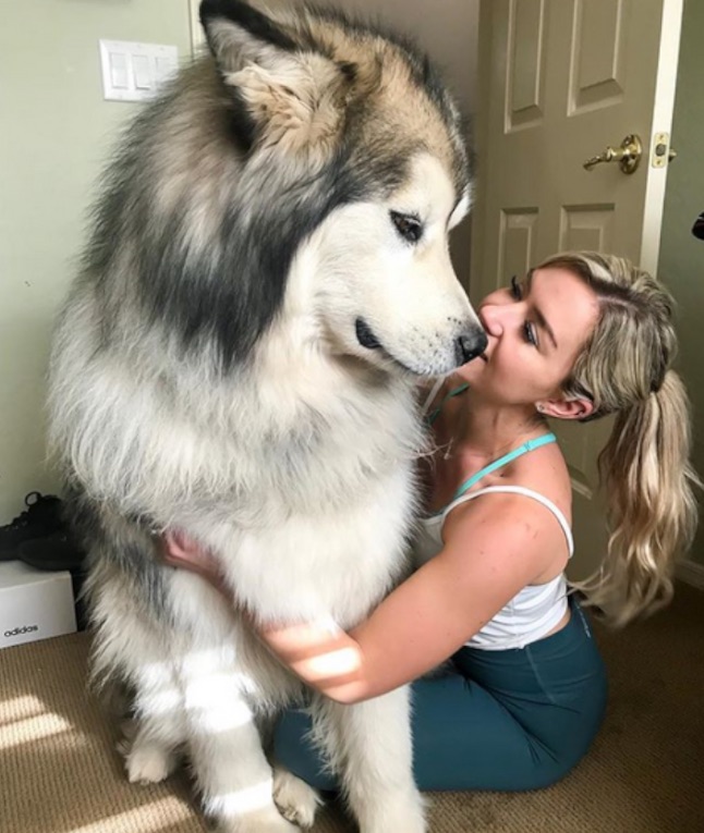 36E28210 F839 4D31 848C 0B5EA80414FF