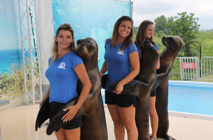 ADC95149 8629 4E2B A339 AE407C40527C