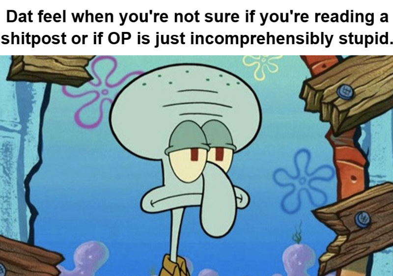SquidShitPostOrNot