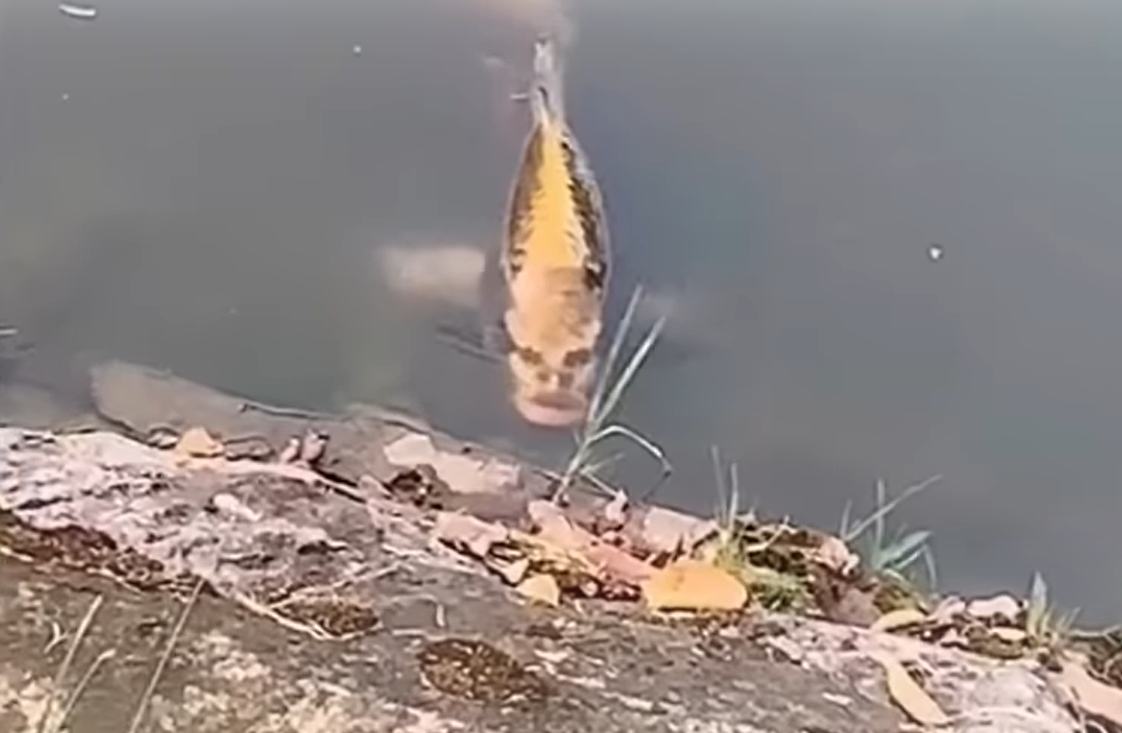 1661605038926