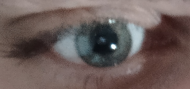 1661701016663