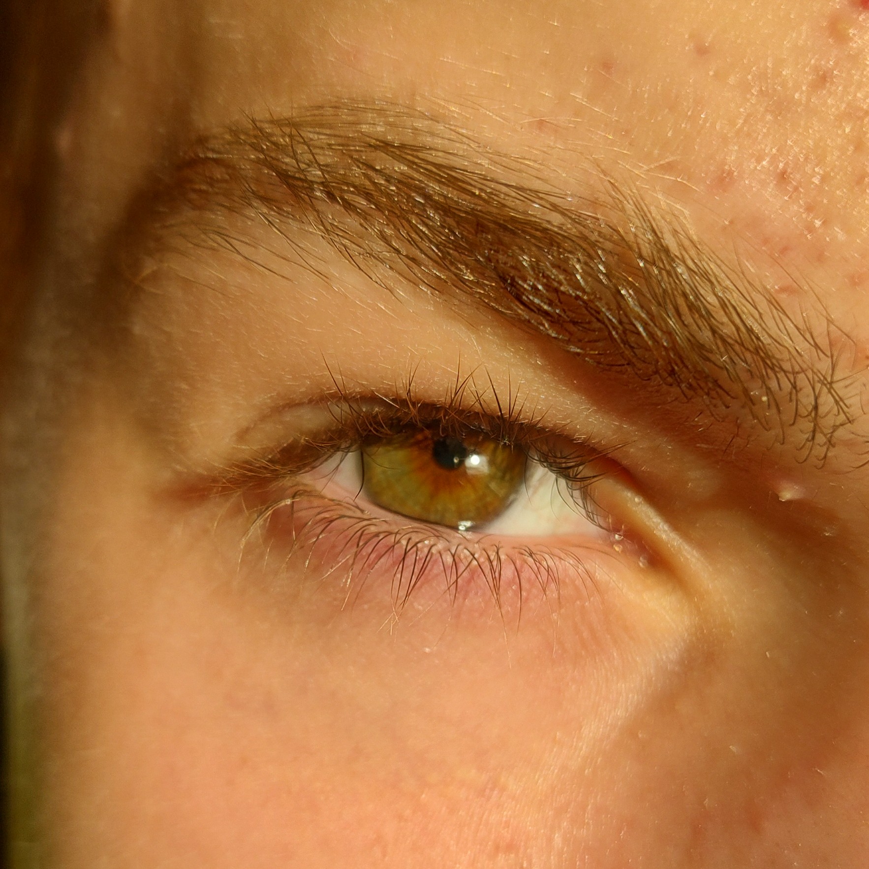 IMG 20220828 175215592 HDR2