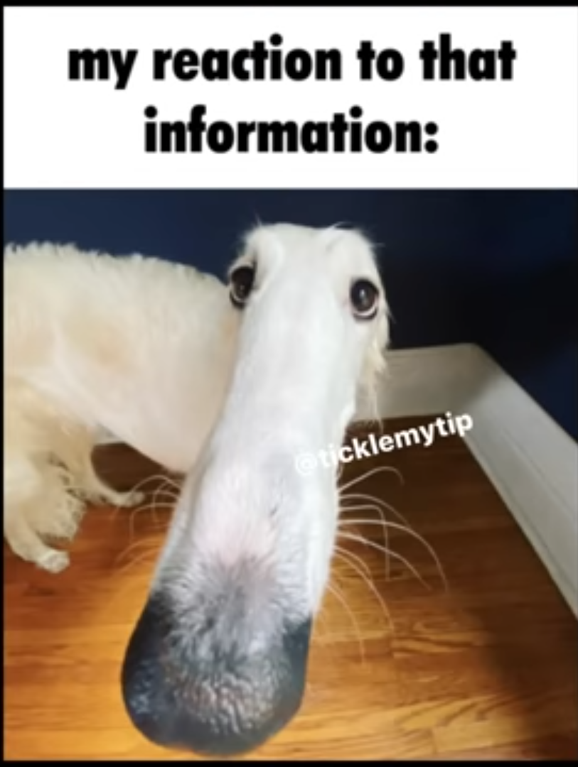 Screenshot 20220603 1921012
