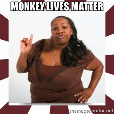 Monkey lives matter