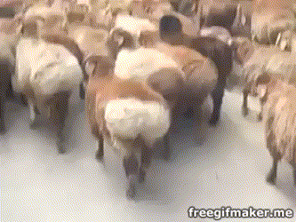 A02801E1 AB50 490D A4A3 3522836EBC10