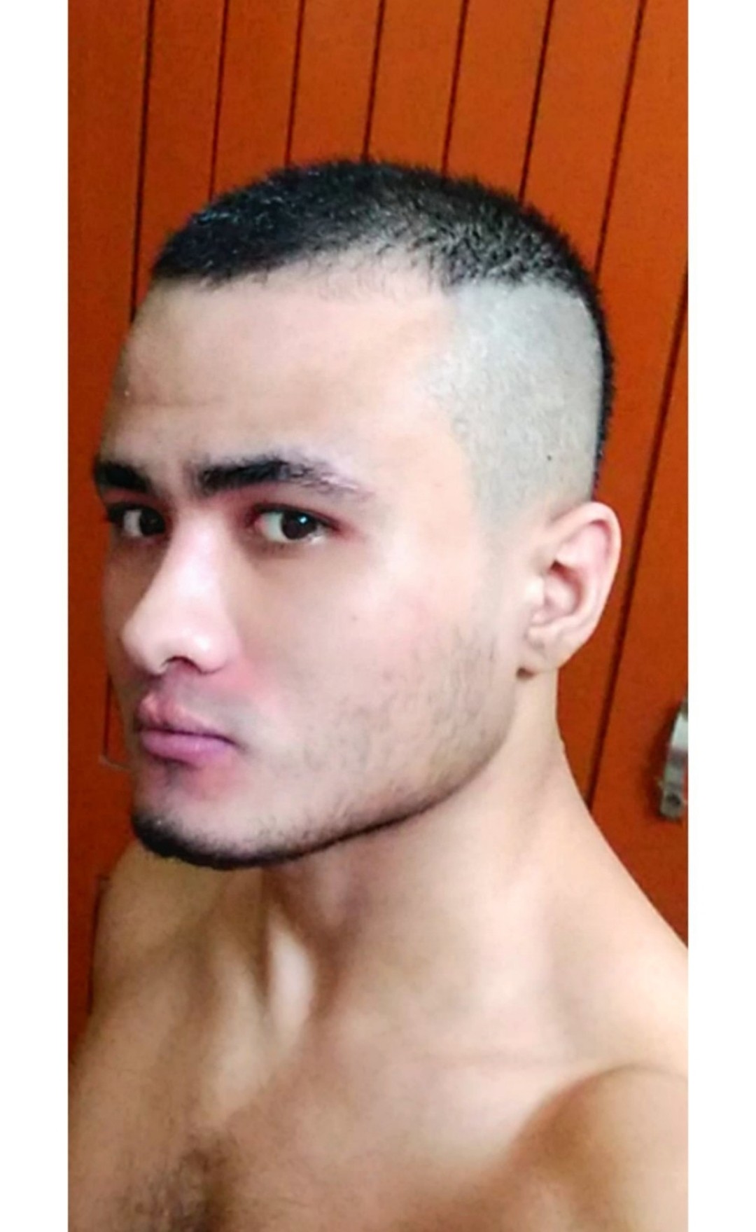 2942525 2853654 shaggy Scooby do