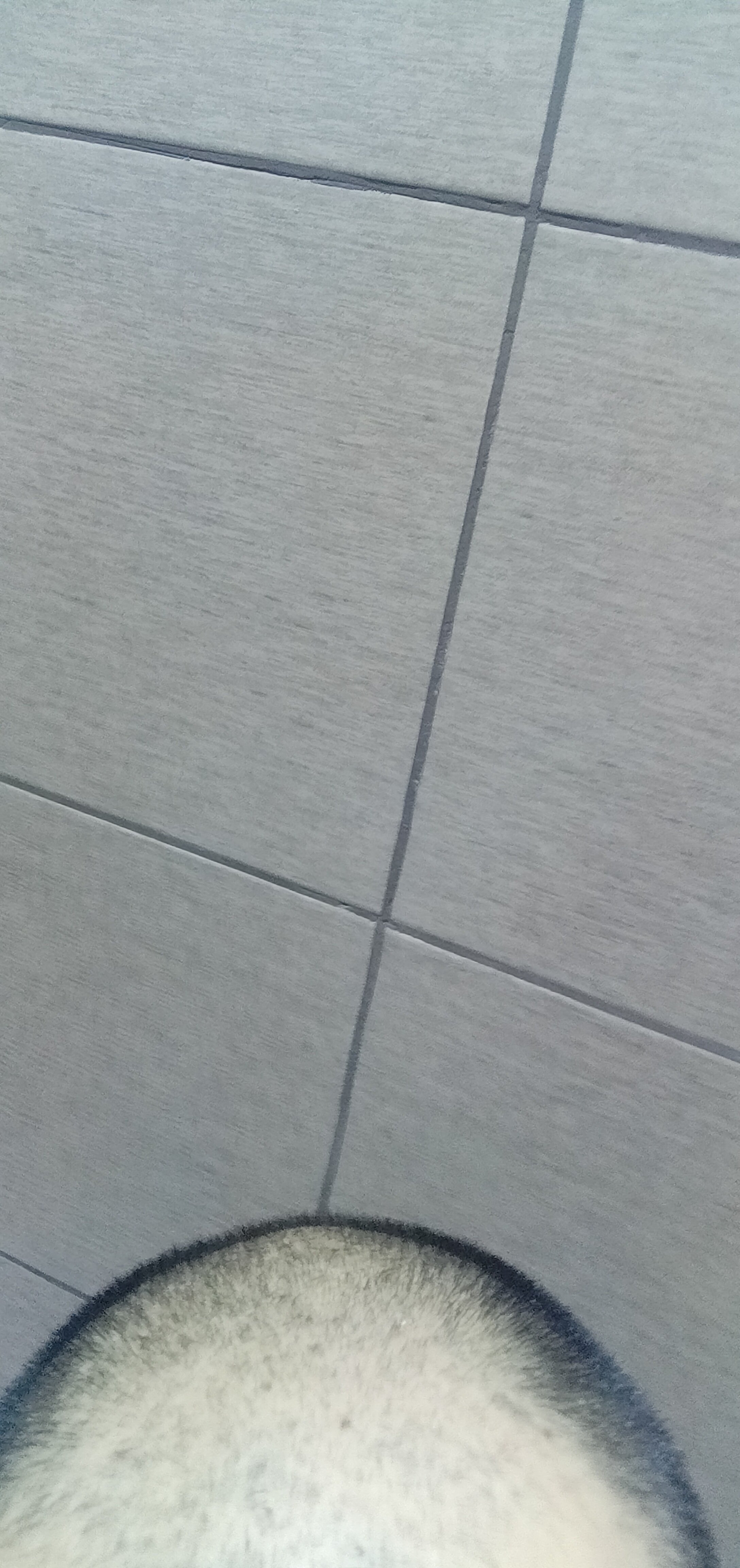 IMG 20220831 151146