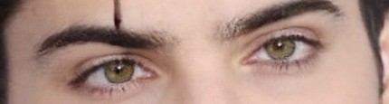 FaceApp 16619653722032