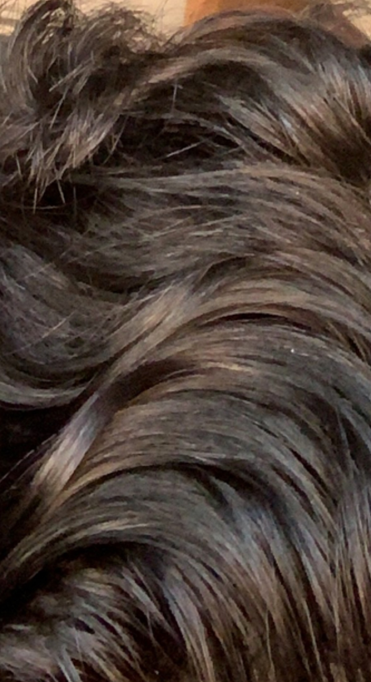 D5BB66B5 DC20 4BA5 AD3E 8E3F88629F16