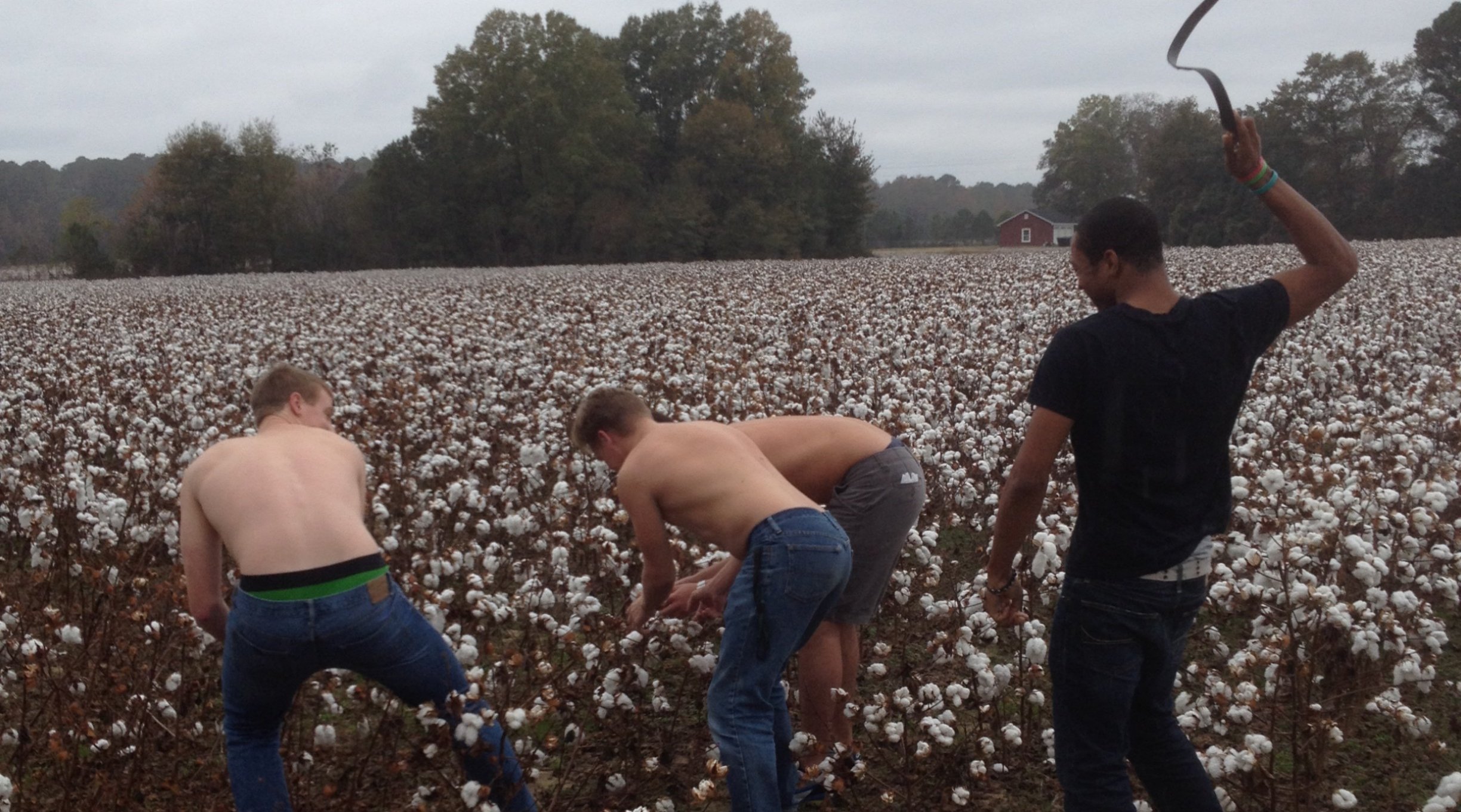 Reverse slavery whites