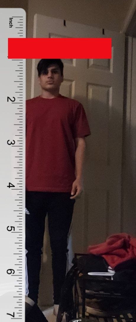 1662065329263
