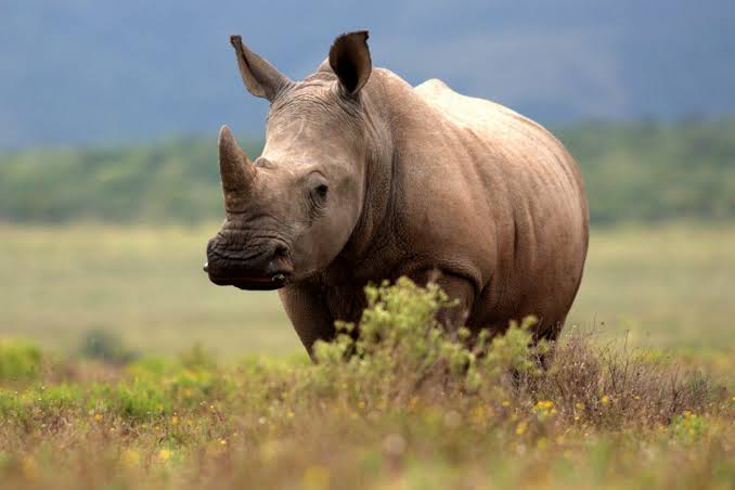 1662101937933