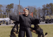 Attack dog training