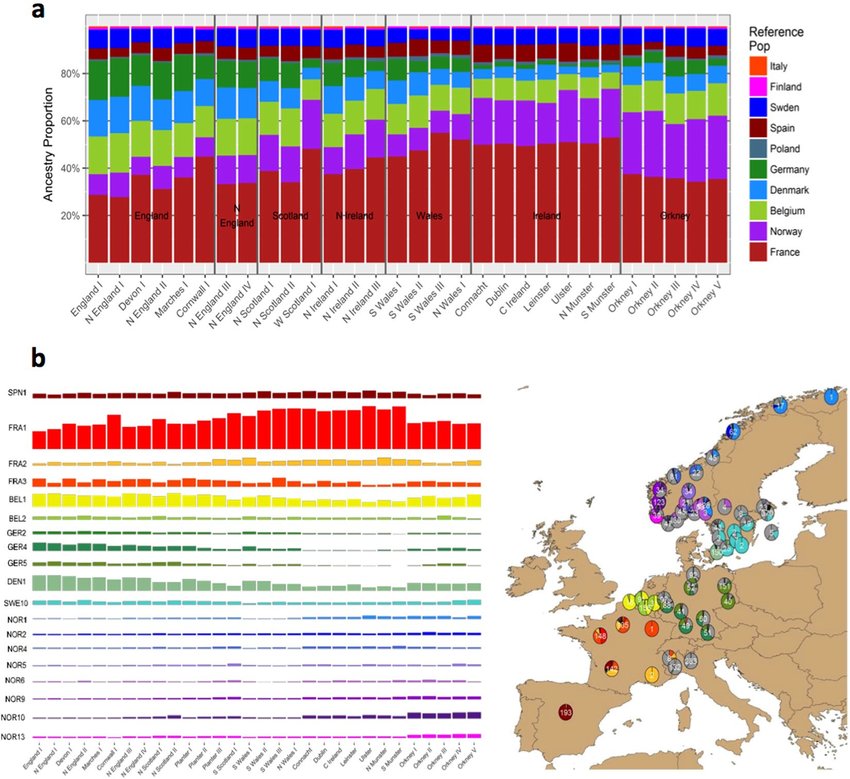 The European ancestry profiles of 30 Irish and British clusters a The total ancestry