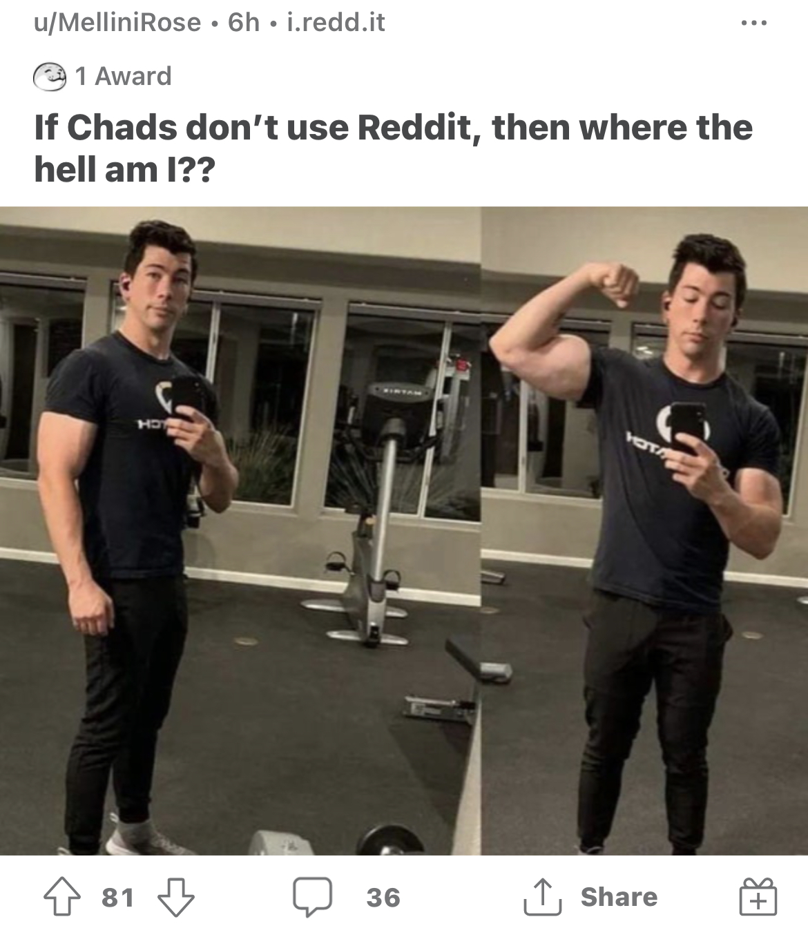 8AD0B181 A364 4219 9577 3346E650161C