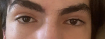 BB71A392 836B 48A2 9D4E 0ECDA6D9A535