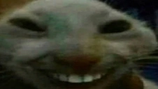 Xdxdxdxdxd