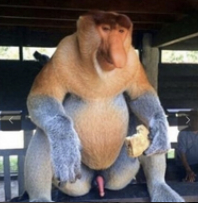 2F347383 B760 44A9 8442 146754A9B0EE