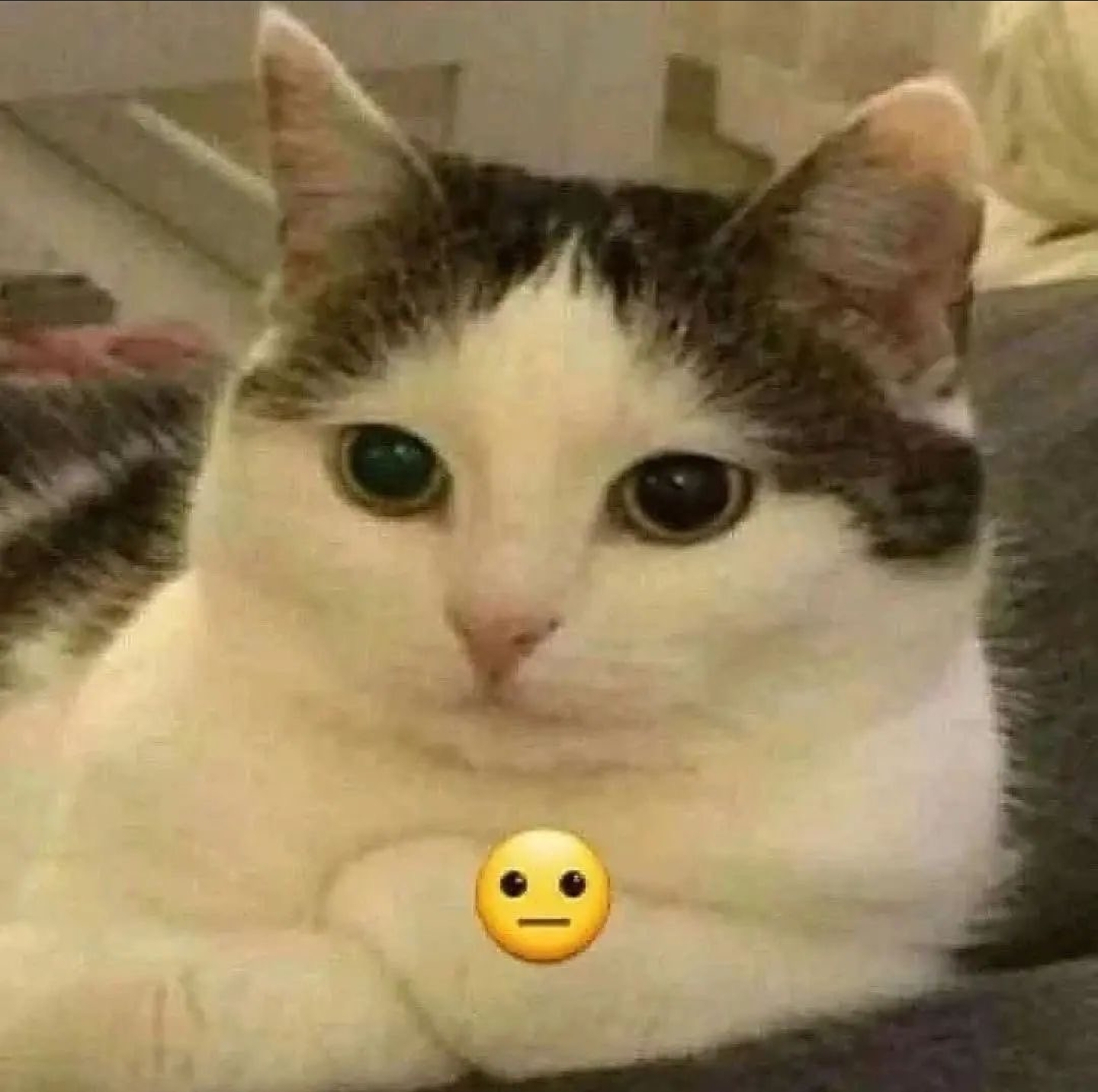 Screenshot 20220911 181619
