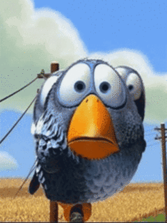 Funnybirds zoqq5ps9