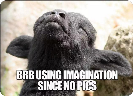 Screenshot 2022 09 16 at 02 38 56 BRB using imagination since no pics Funny animals Labrador r