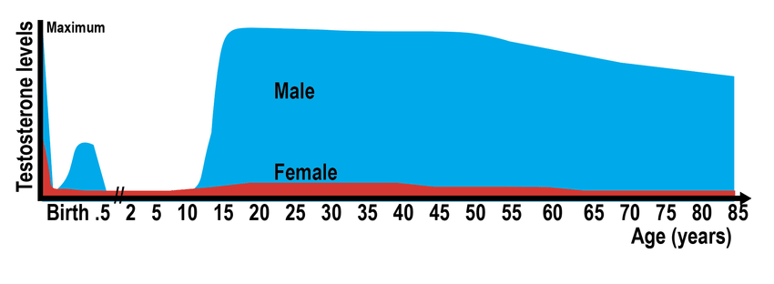 Gross testosterone levels per gender from birth to 85 years of age Note peak in newborn