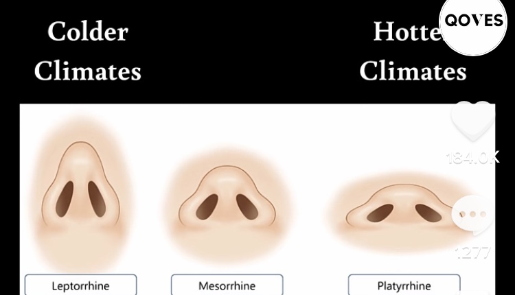 0F4D80FF F49E 46BC 9EC6 DC43101EC20C