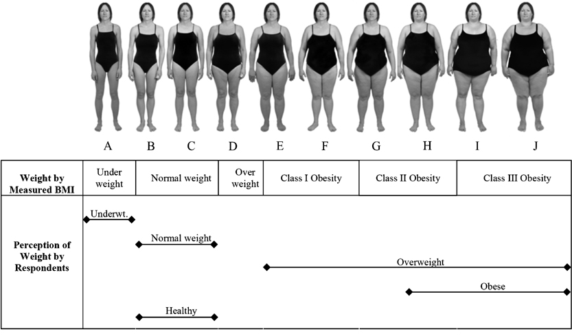 Womens BSG images weight classifications and perceptions by respondents Weight