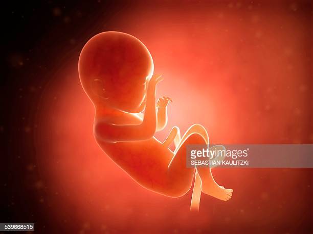 Gettyimages 539668515 612x612