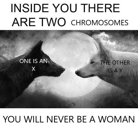3080355 1613349695195