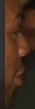 Screenshot 1088