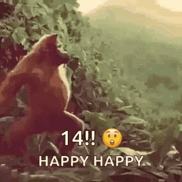 Monkey ape
