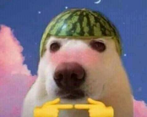 82a6a44eaf65b142f8c11b2a250b87af