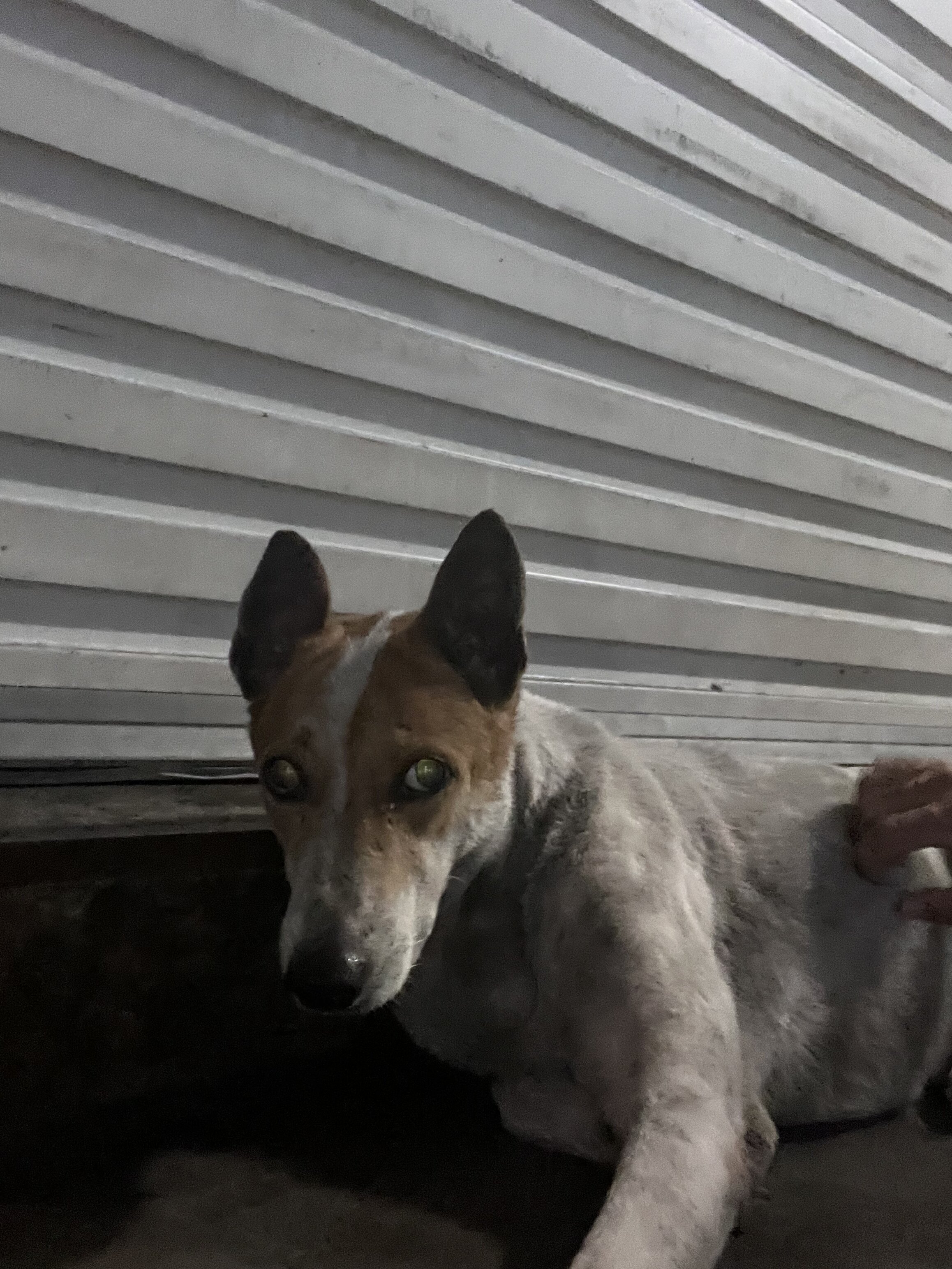 97D1ECF7 EE34 4BD0 A229 6238BAC287B3