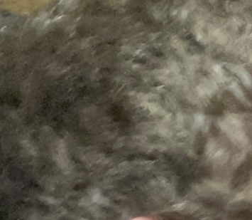 CC1030FF 0463 43AA AE03 38AB90BB12CE