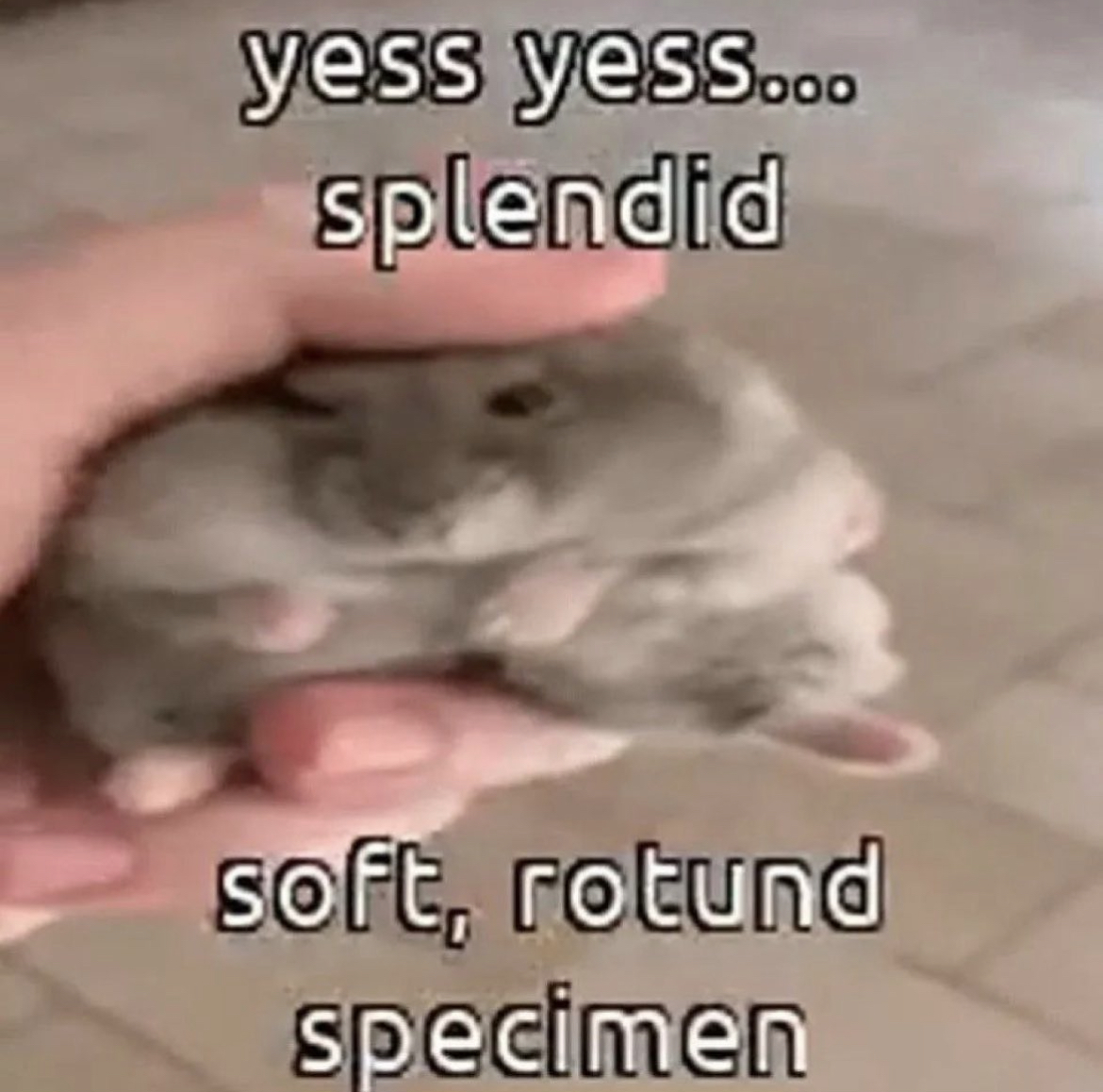 5CF0FCB4 F9CB 4058 BE93 CDF573715AD1