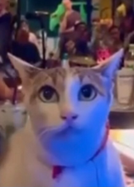 7CC8568D 4347 426E 882D 6B51F2029F82