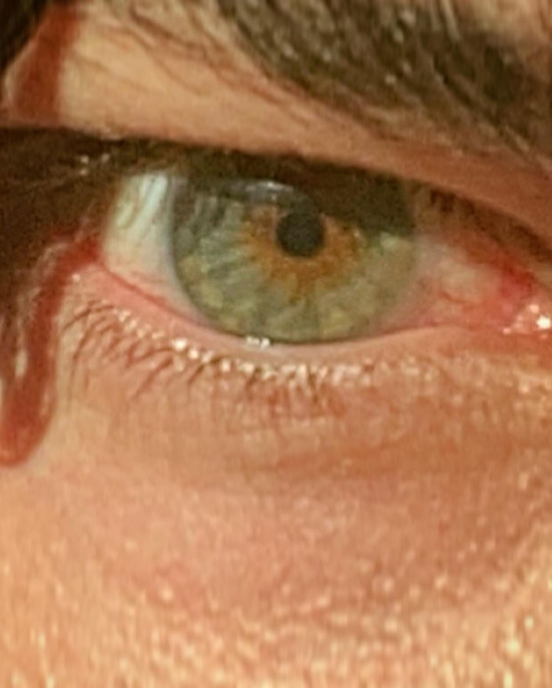 277078262 331216072372740 99722700159619421 n