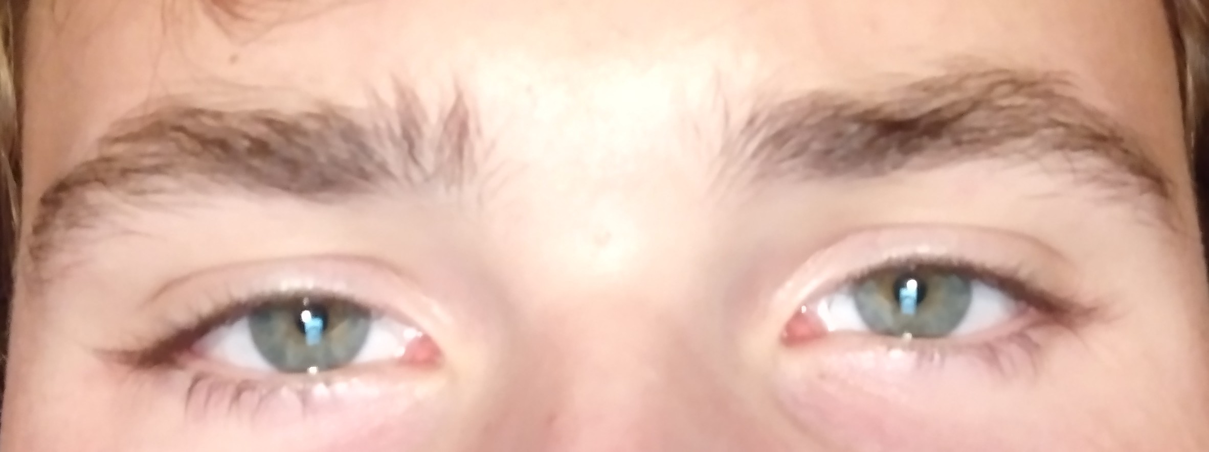 IMG 20221002 195048982
